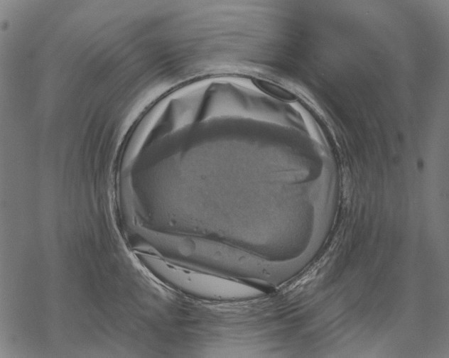 X0000068841048200605261635