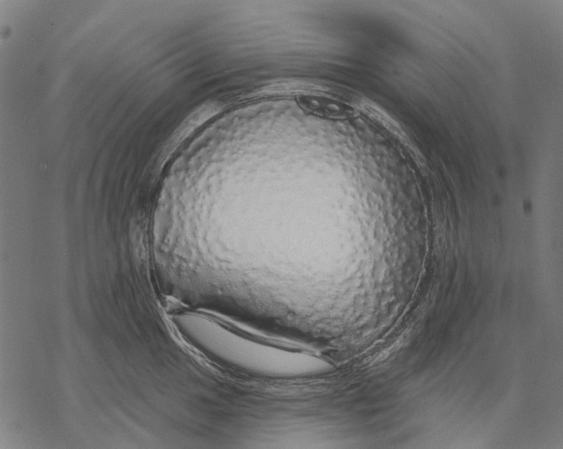 X0000068841049200605261635