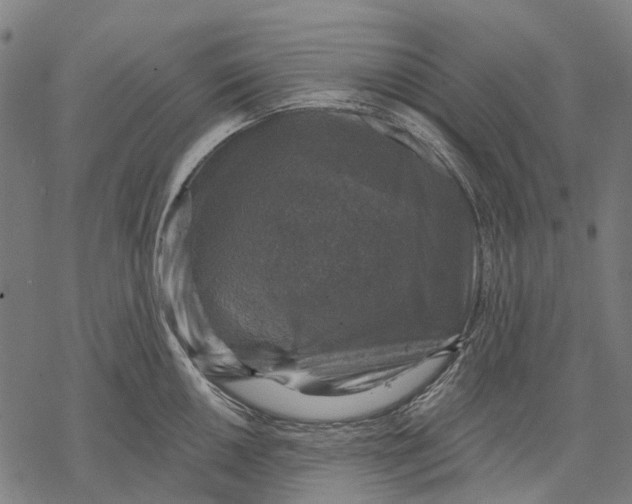 X0000068841050200605261635