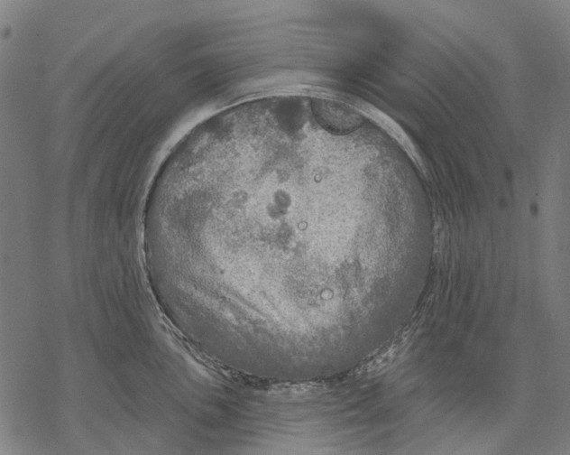 X0000068841051200605261635