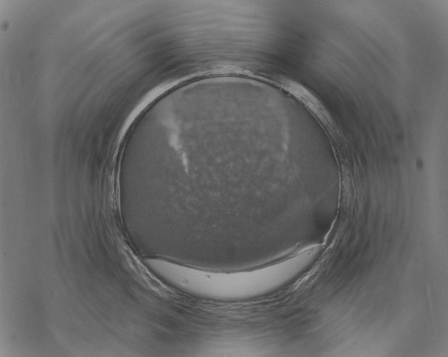 X0000068841052200605261636