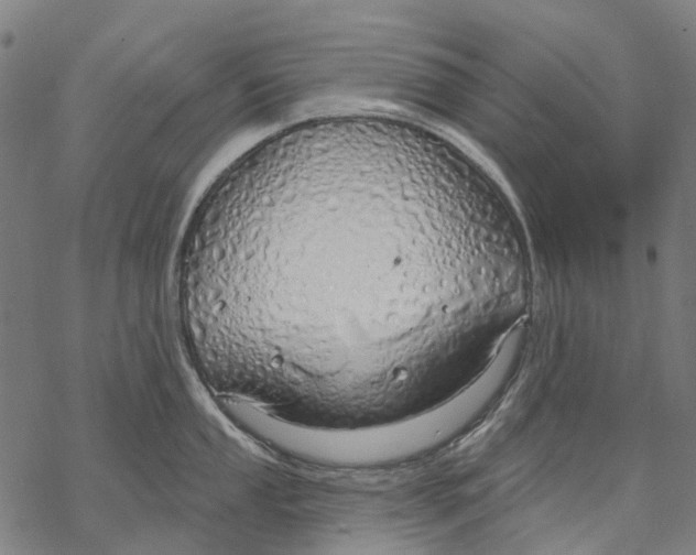 X0000068841053200605261636