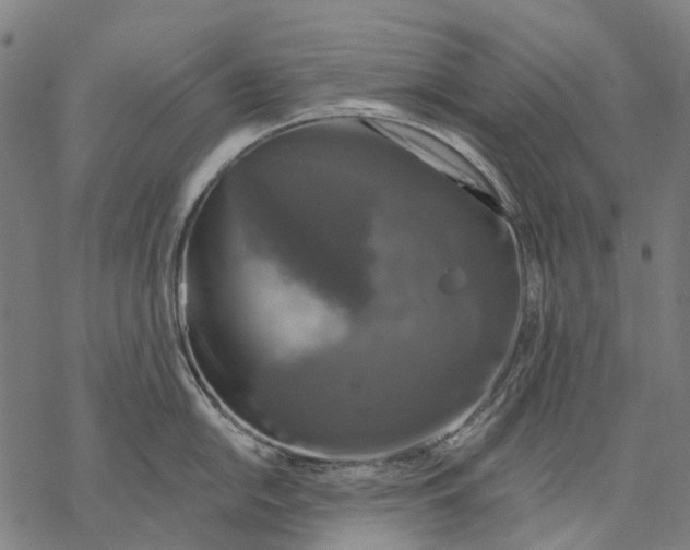 X0000068841054200605261636