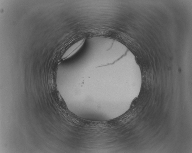 X0000068841058200605261635