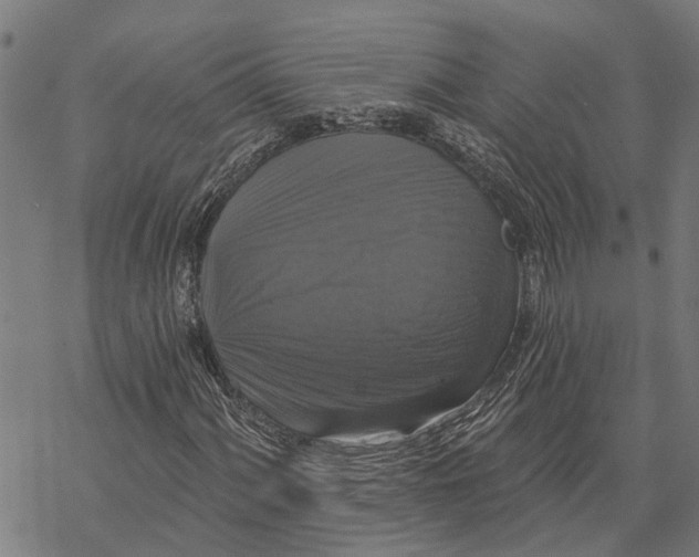 X0000068841060200605261635