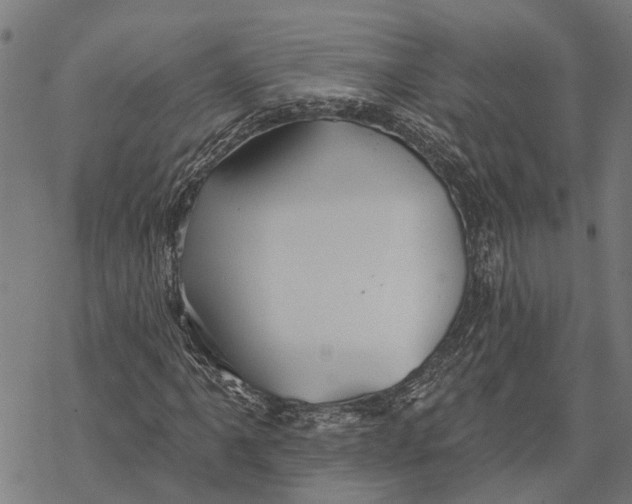 X0000068841061200605261635