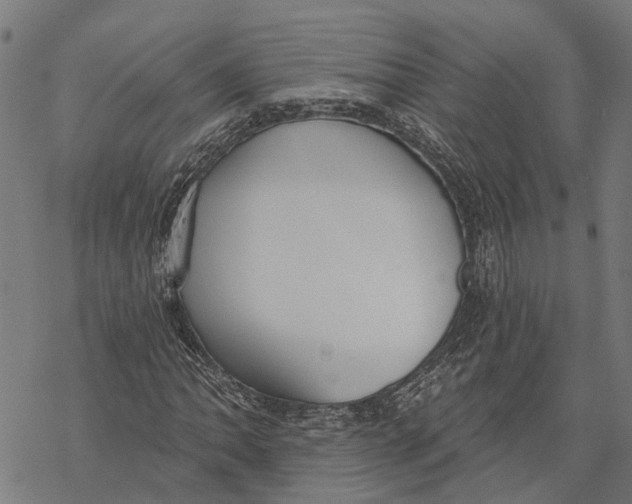 X0000068841062200605261635