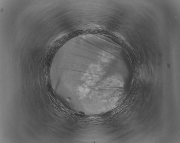 X0000068841063200605261635