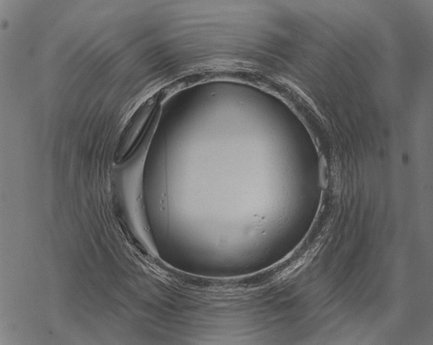 X0000068841065200605261635