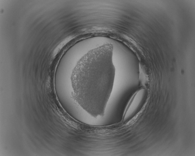 X0000068841066200605261635