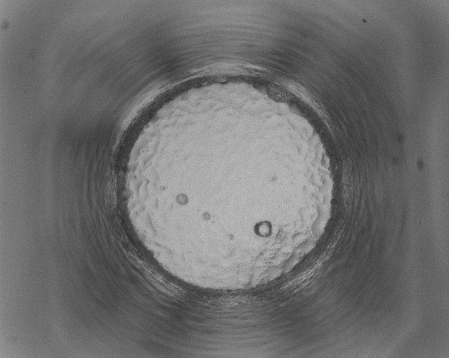 X0000068841067200605261635