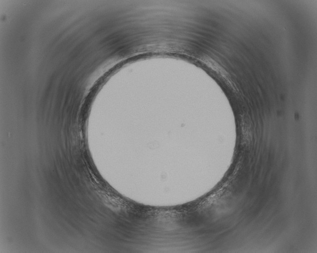 X0000068841070200605261635