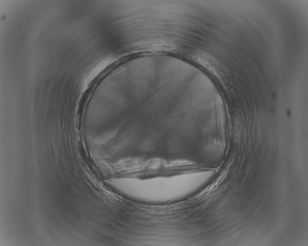 X0000068841071200605261635