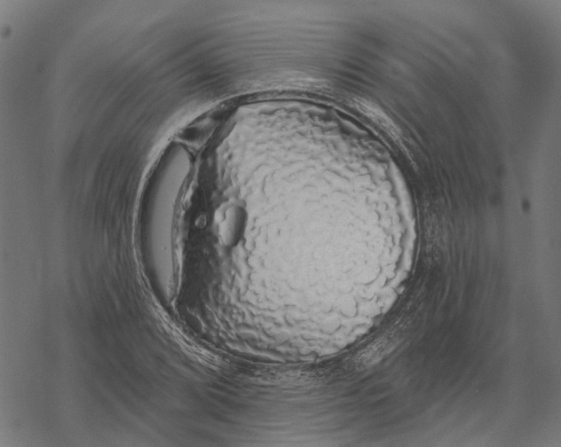 X0000068841072200605261635