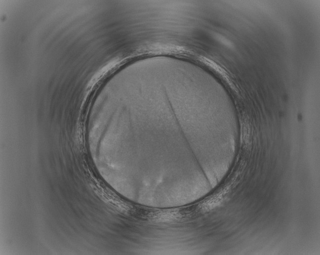 X0000068841074200605261635