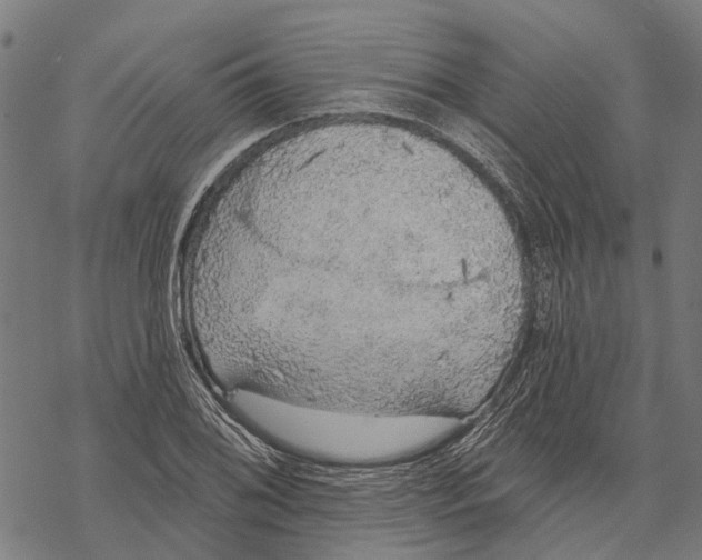 X0000068841076200605261634