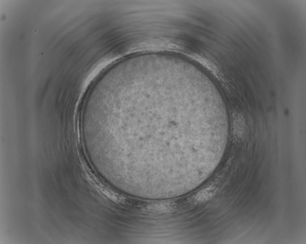 X0000068841078200605261634