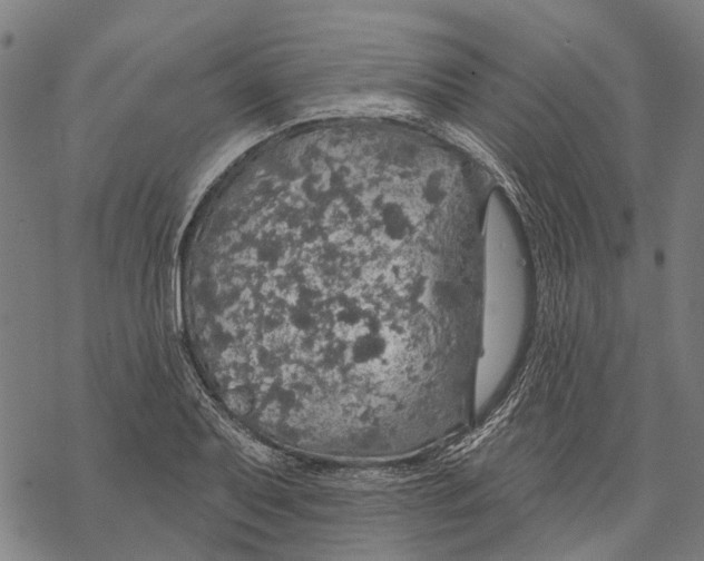 X0000068841079200605261634