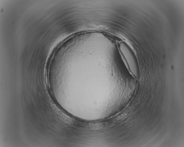 X0000068841080200605261634