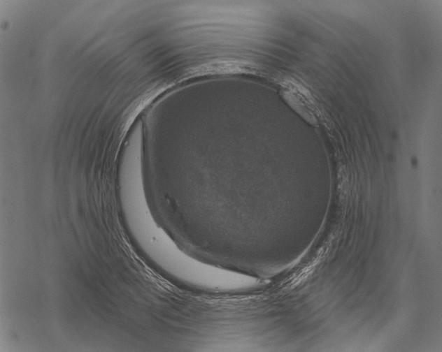 X0000068841081200605261634