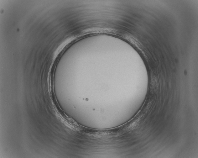 X0000068841082200605261634