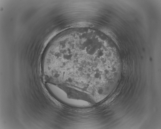 X0000068841083200605261634