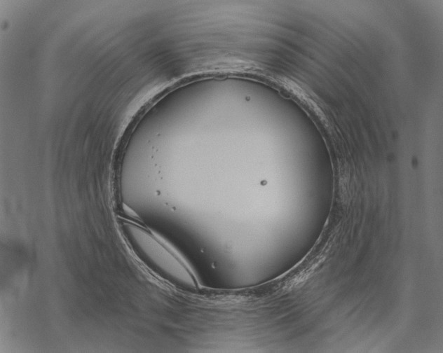 X0000068841085200605261634