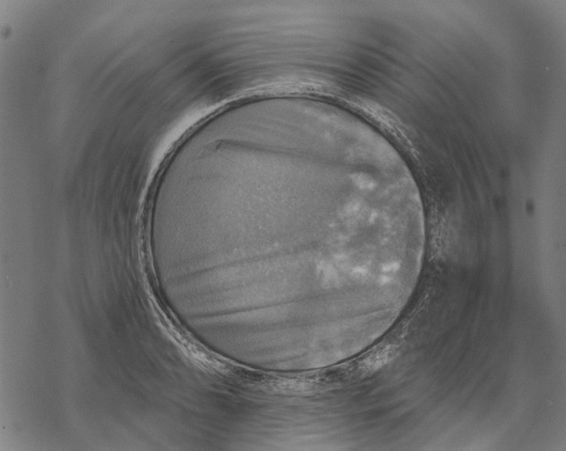 X0000068841086200605261634