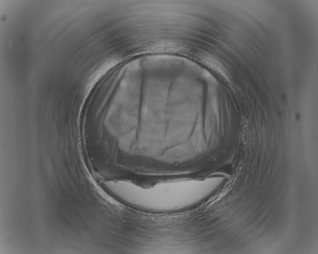 X0000068841087200605261634