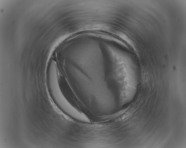 X0000068841088200605261634