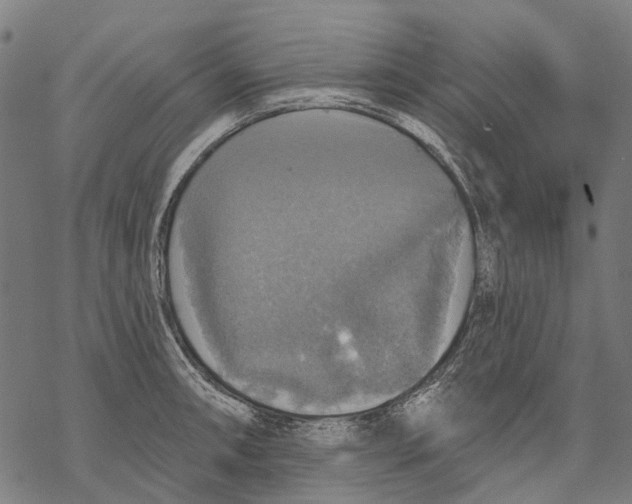 X0000068841090200605261634