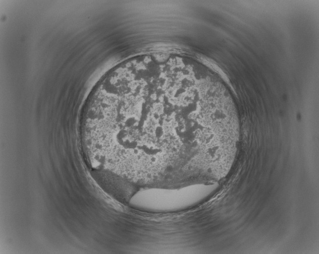 X0000068841091200605261634