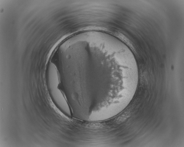 X0000068841092200605261634