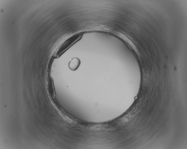 X0000068841093200605261634