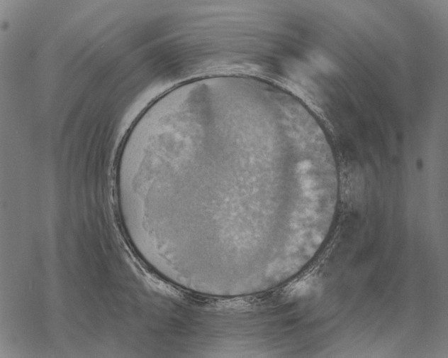 X0000068841094200605261634