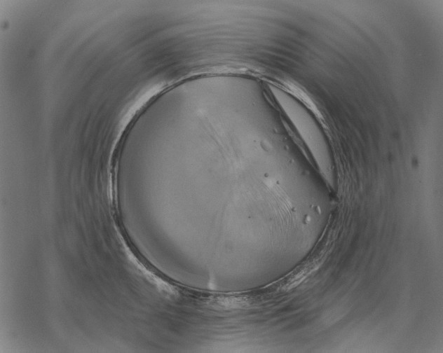 X0000068841095200605261634