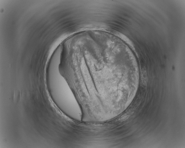 X0000068841096200605261634