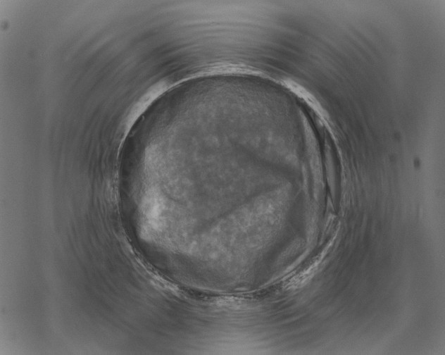 X0000068841097200605261634