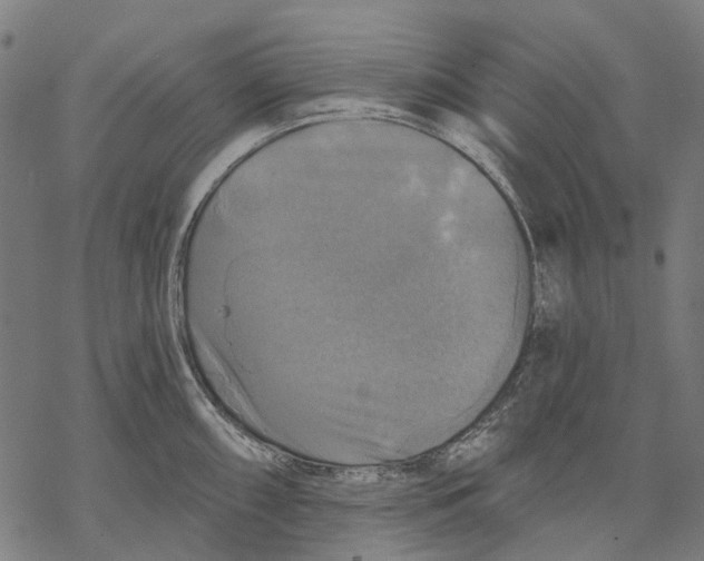 X0000068841098200605261634