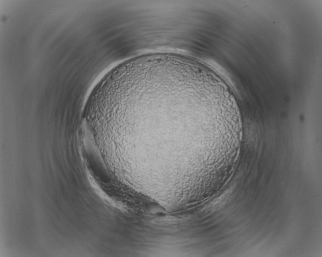 X0000068841100200605261634