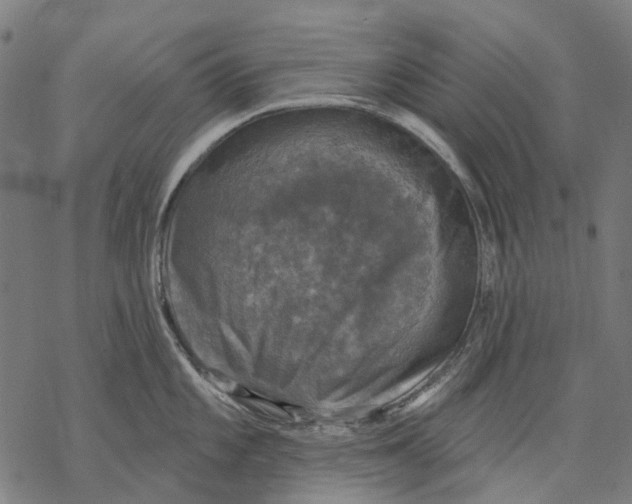 X0000068841101200605261634