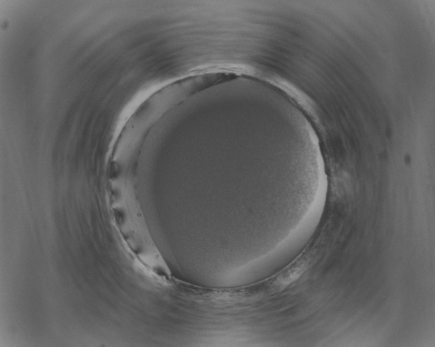 X0000068841102200605261634