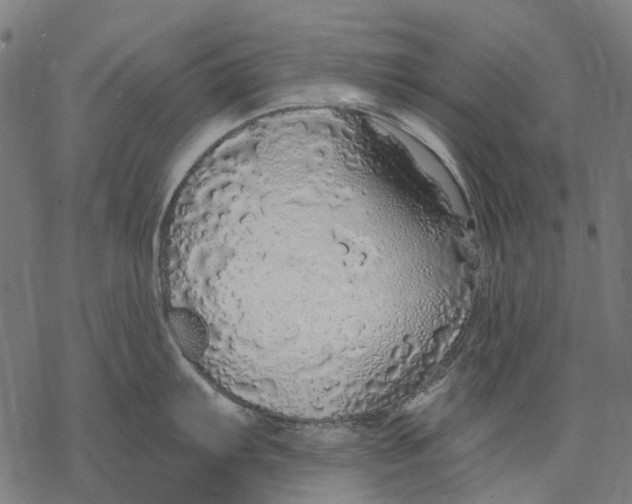 X0000068841103200605261634