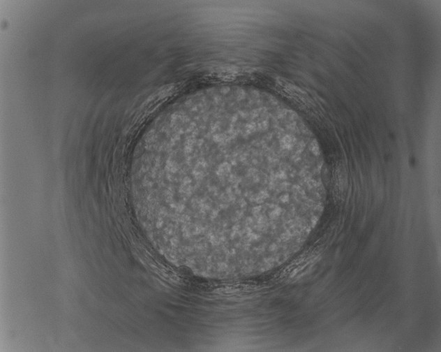 X0000068841105200605261633