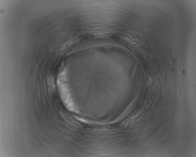 X0000068841106200605261633