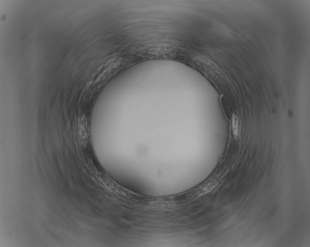 X0000068841107200605261633