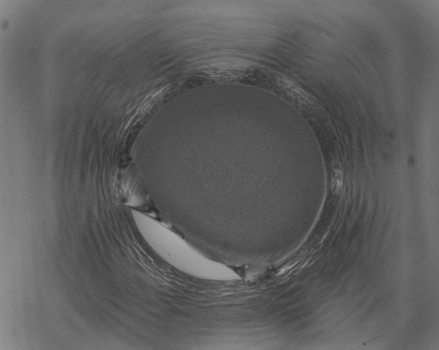 X0000068841108200605261633