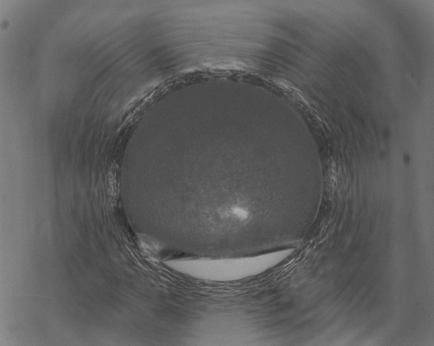 X0000068841110200605261633