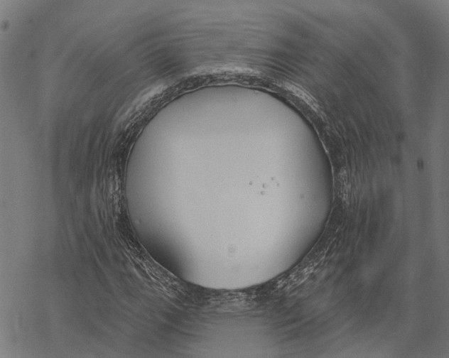 X0000068841111200605261633