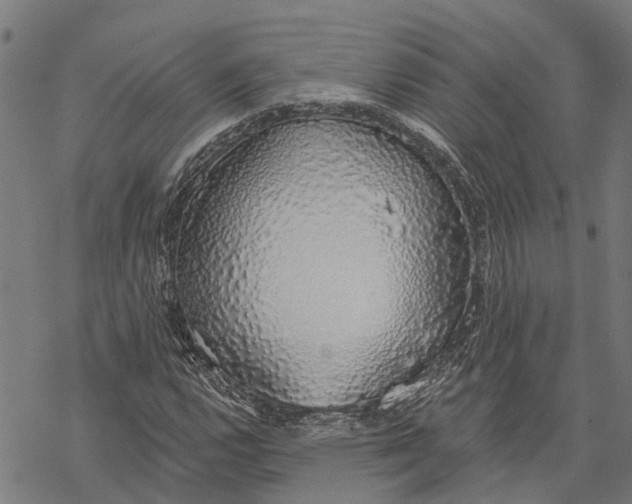 X0000068841112200605261633